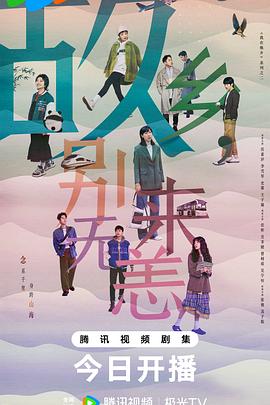 大丰网站优化服务商